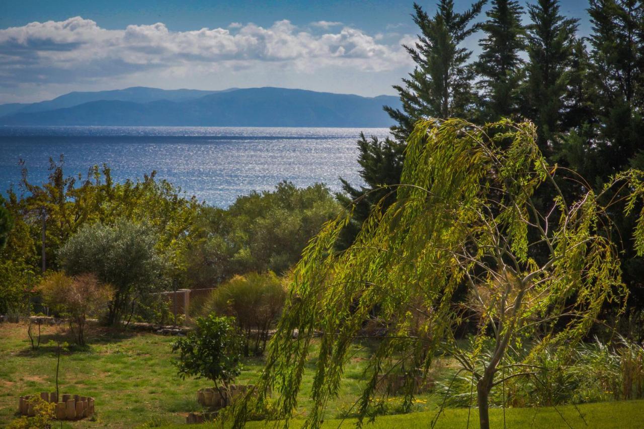 Driftwood Villa Καραβάδος Εξωτερικό φωτογραφία