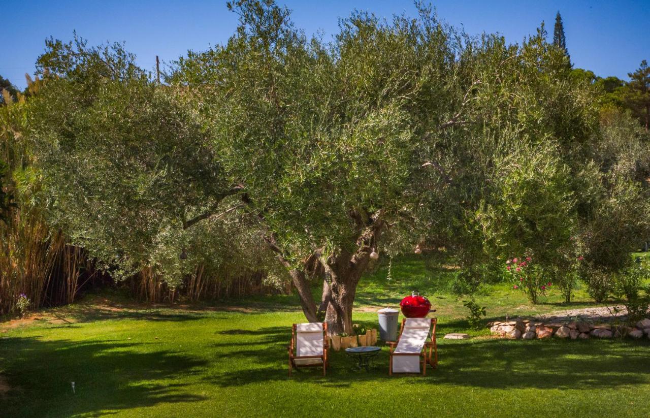 Driftwood Villa Καραβάδος Εξωτερικό φωτογραφία
